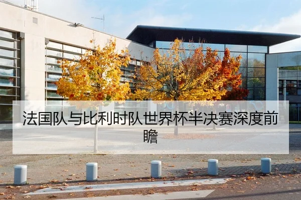 法国队与比利时队世界杯半决赛深度前瞻